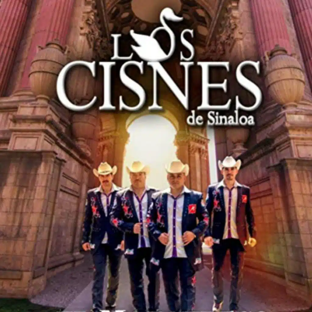 Cien Por Ciento