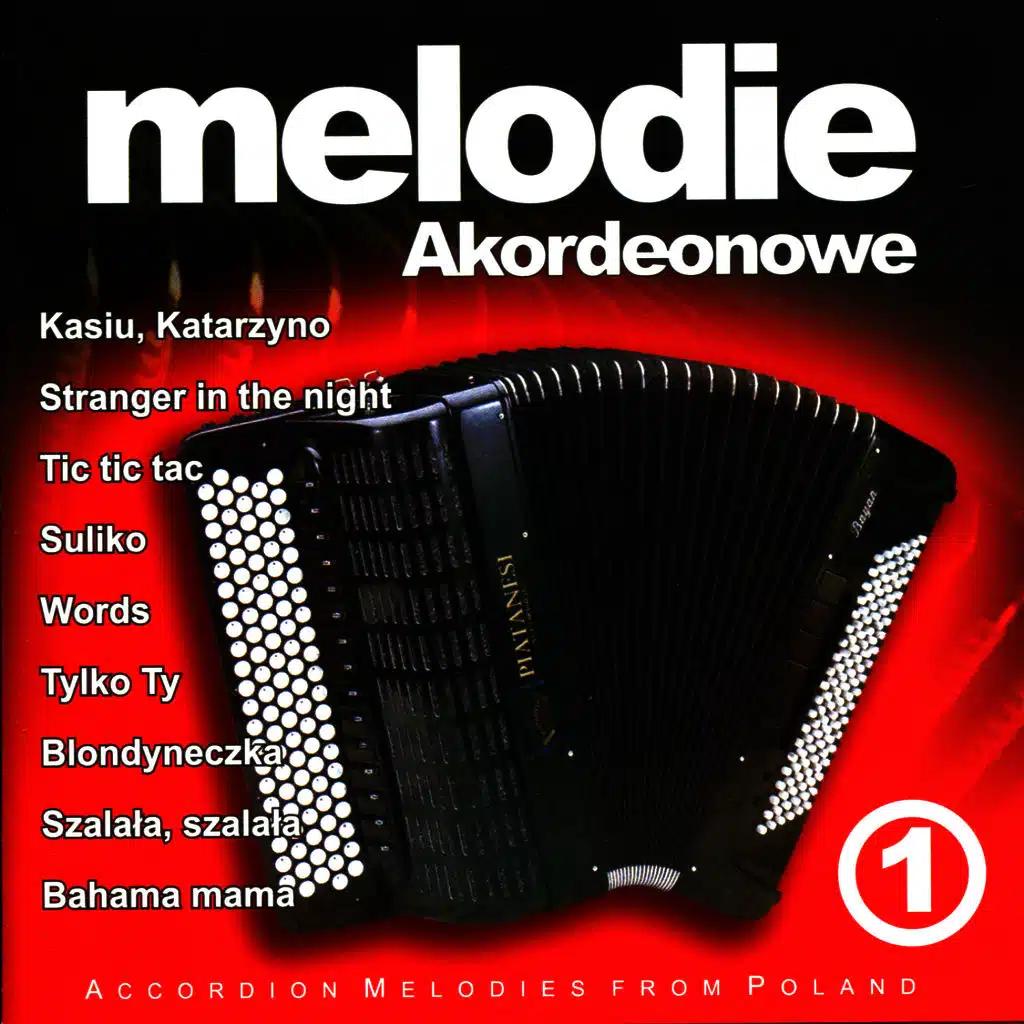 Gdzie sie podzialy tamte prywatki - Accordian Melodies from Poland
