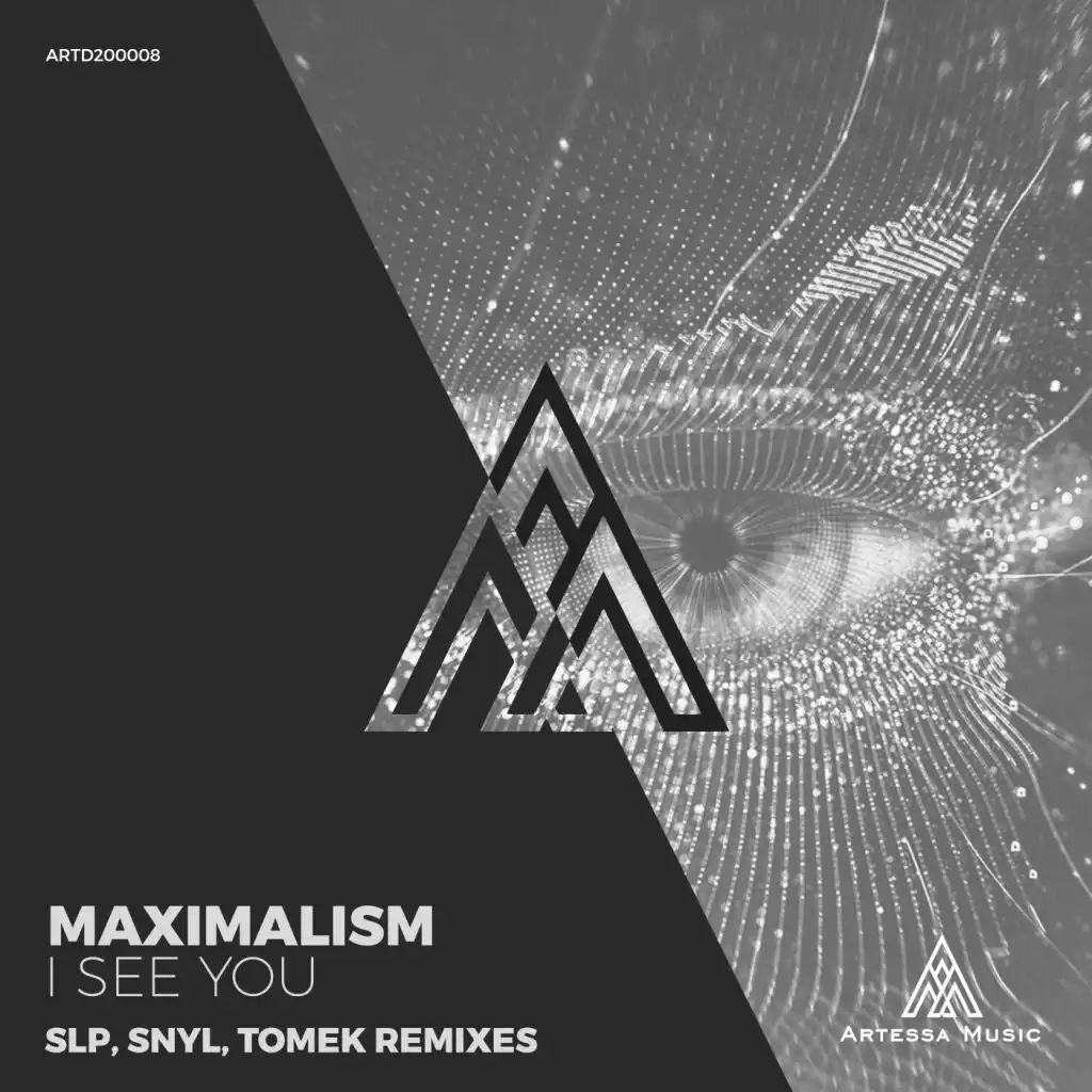 I See You Remixes (feat. SNYL & SLP)