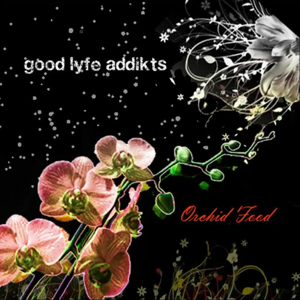 Orchid Food - EP