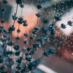 50 Essential Nature Rain Sounds to Clear the Mind and Relax the Soul