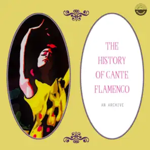 The History of Cante Flamenco: An Archive
