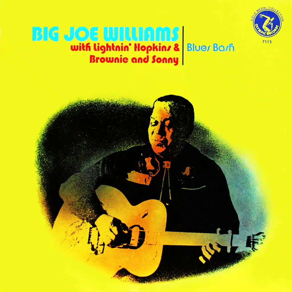 Lightnin' Hopkins & Sonny Terry & Brownie McGhee & Big Joe Williams