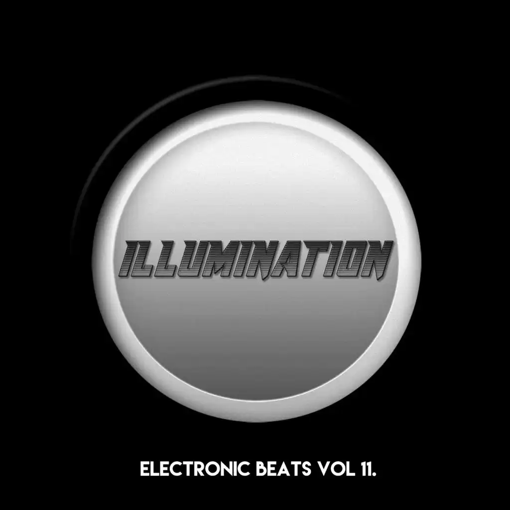 Electronic Beats, Vol. 11.