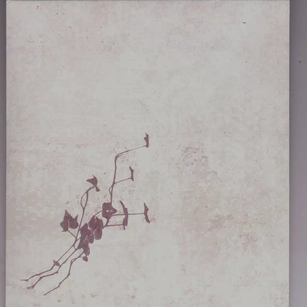 This is a Process of a Still Life