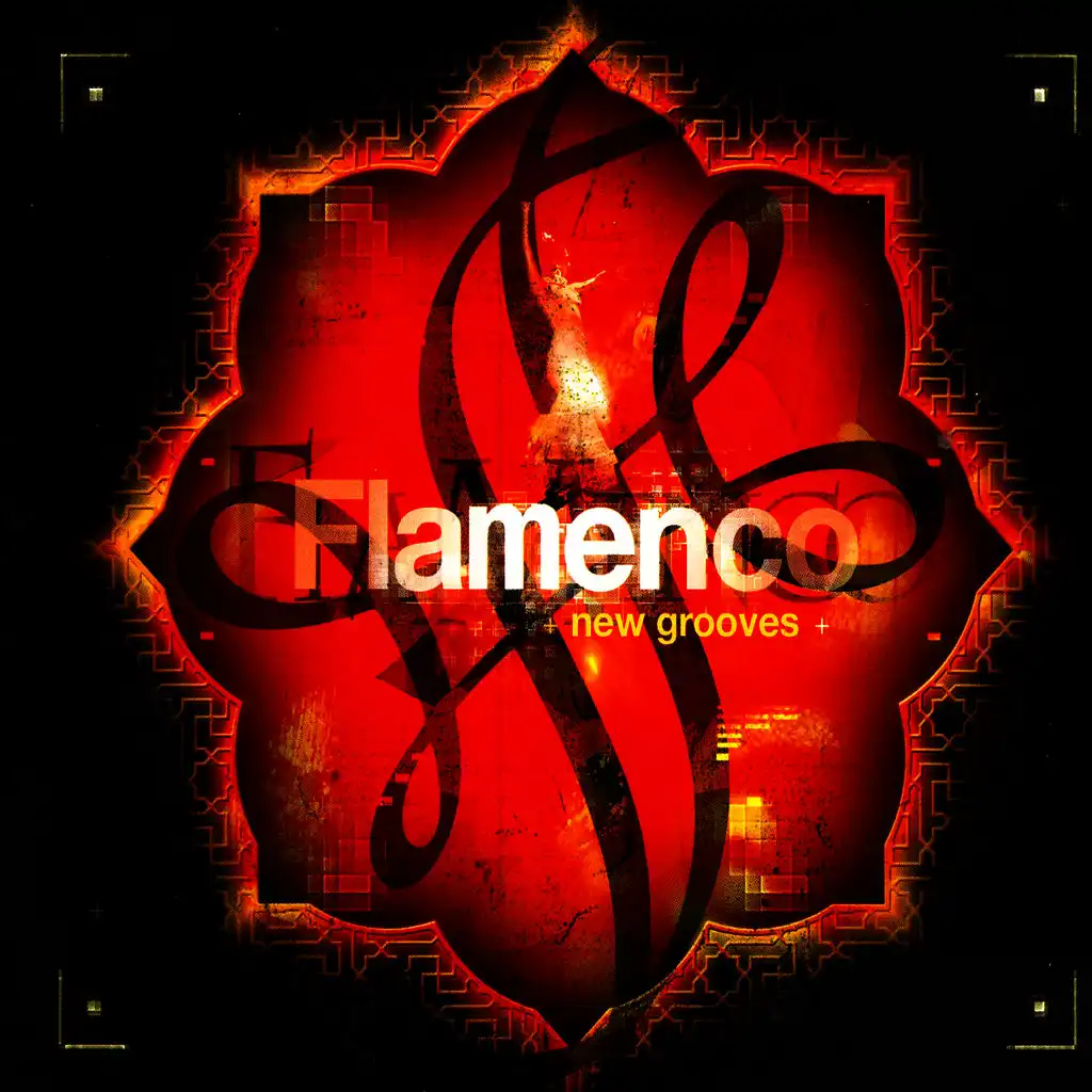 Flamenco New Grooves