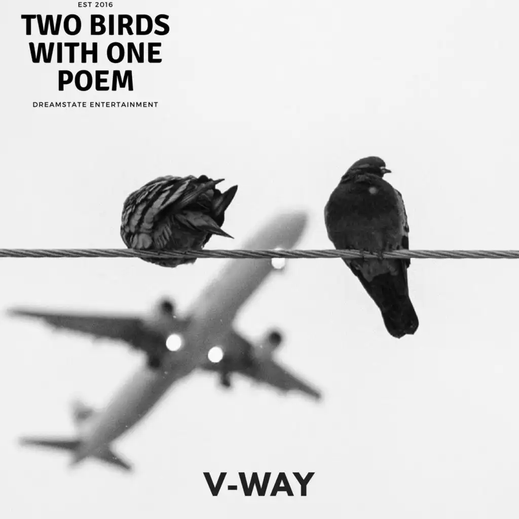 Two birds on a wire speed