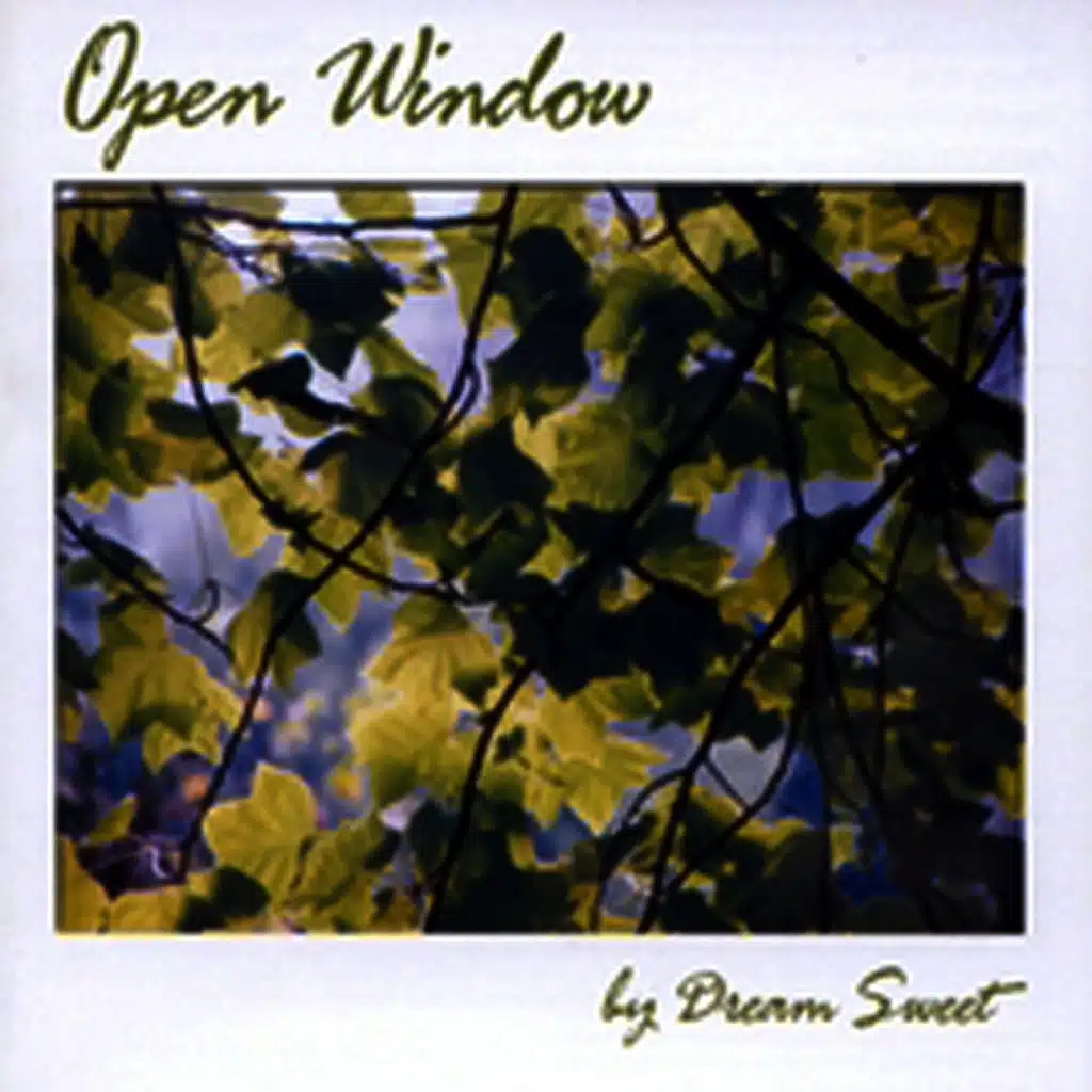 Open Window