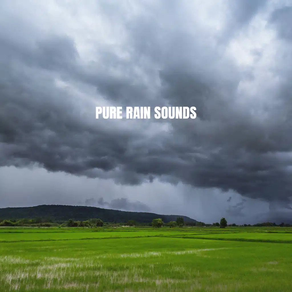 Pure Rain Sounds