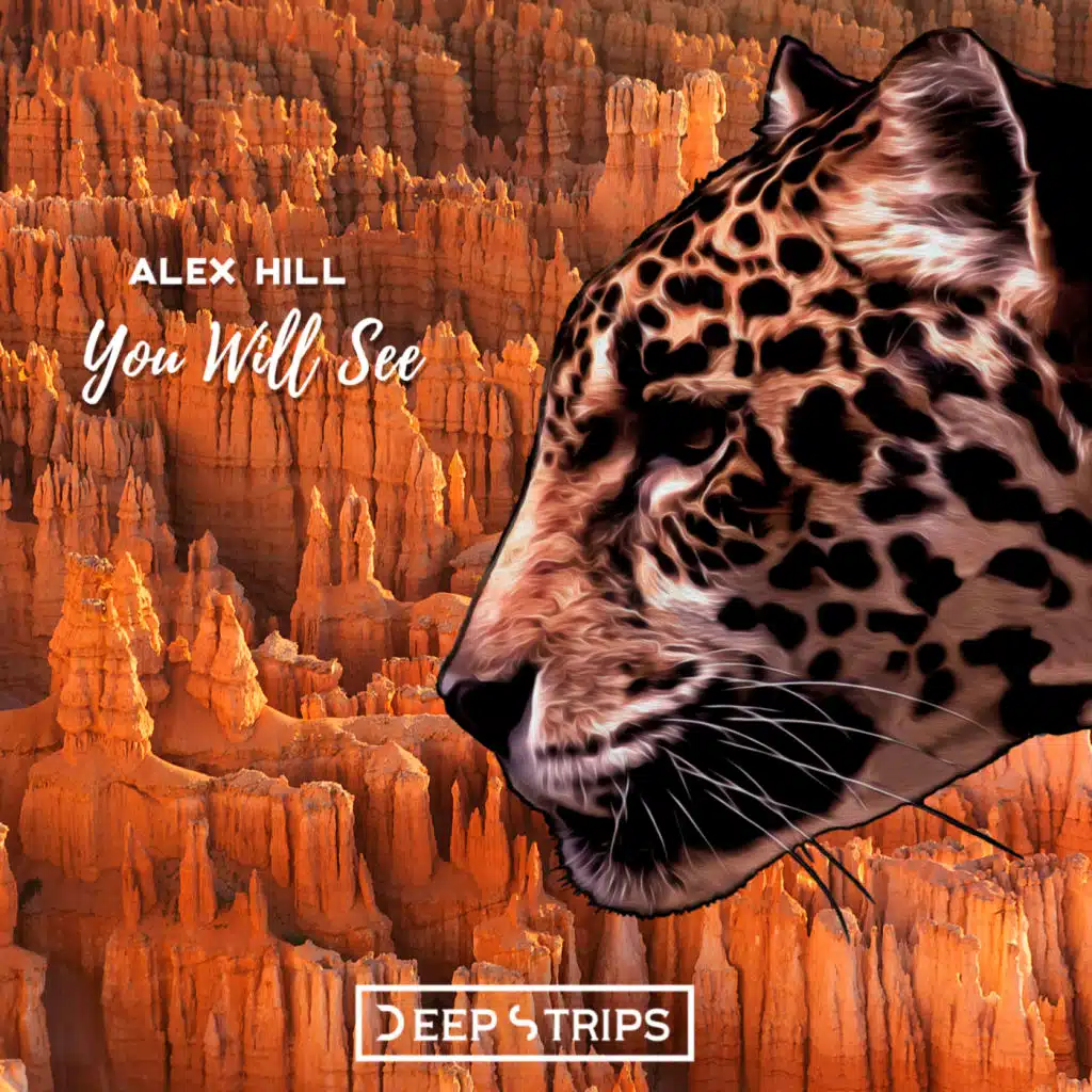 You Will See (Maylo & Josh Remix)