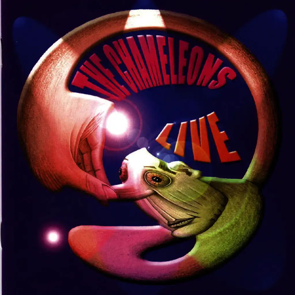 A Person Isn't Safe Anywhere These Days