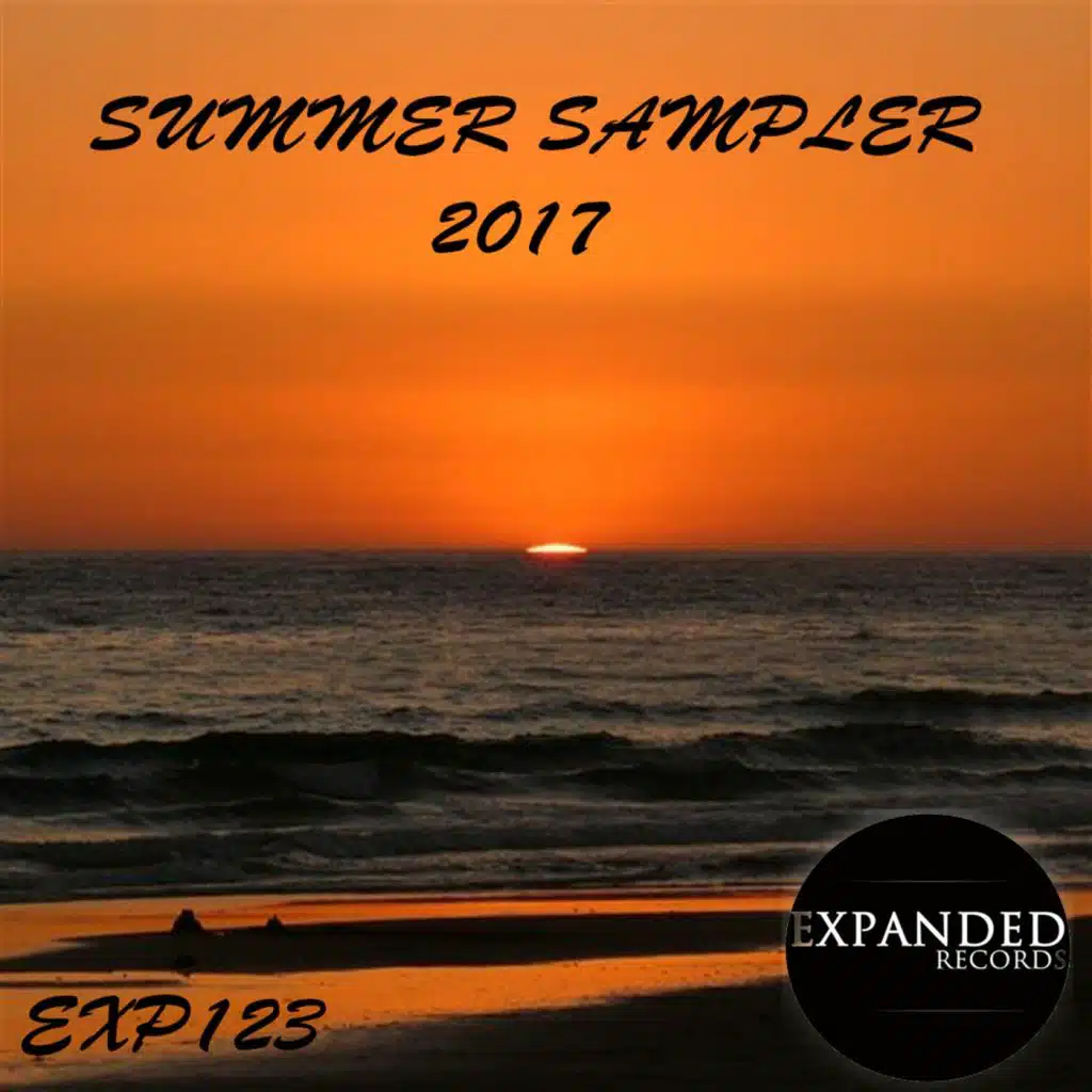Summer Sampler 2017