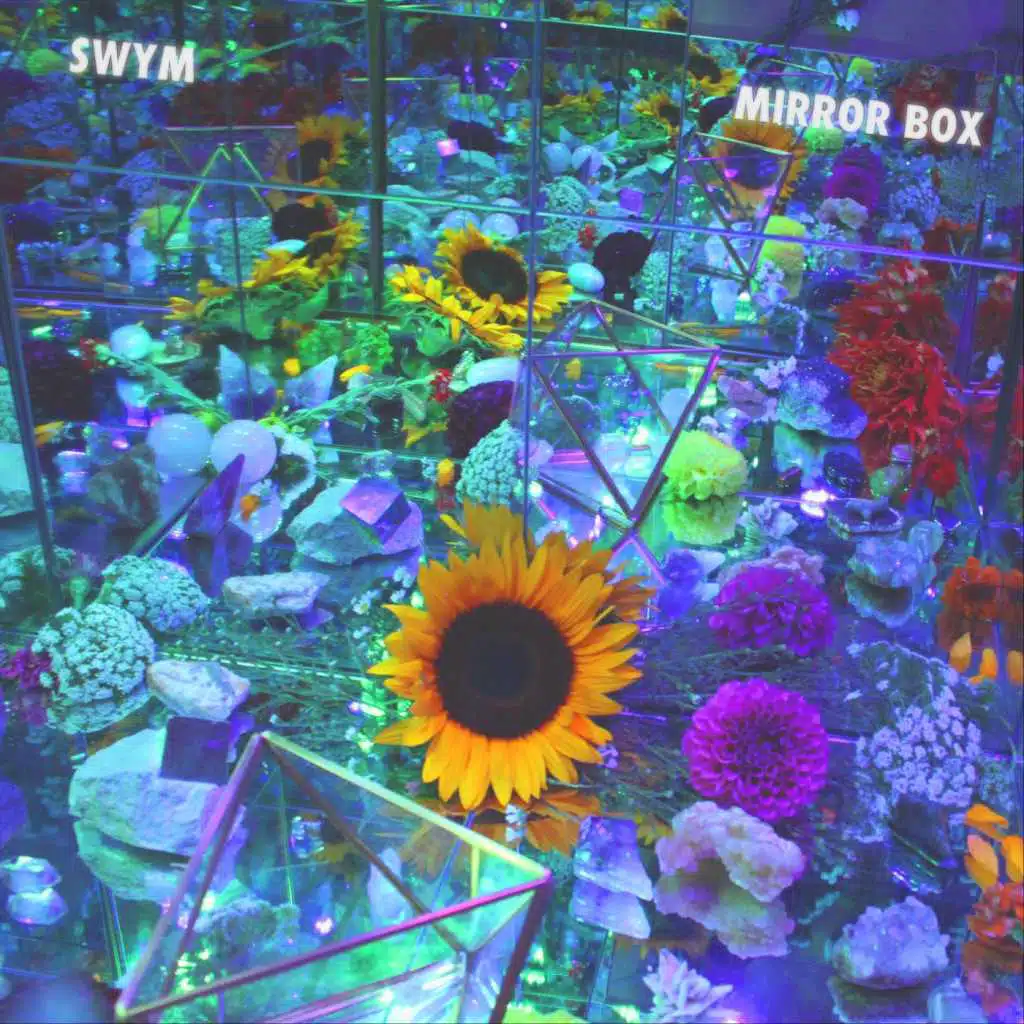 Mirror Box