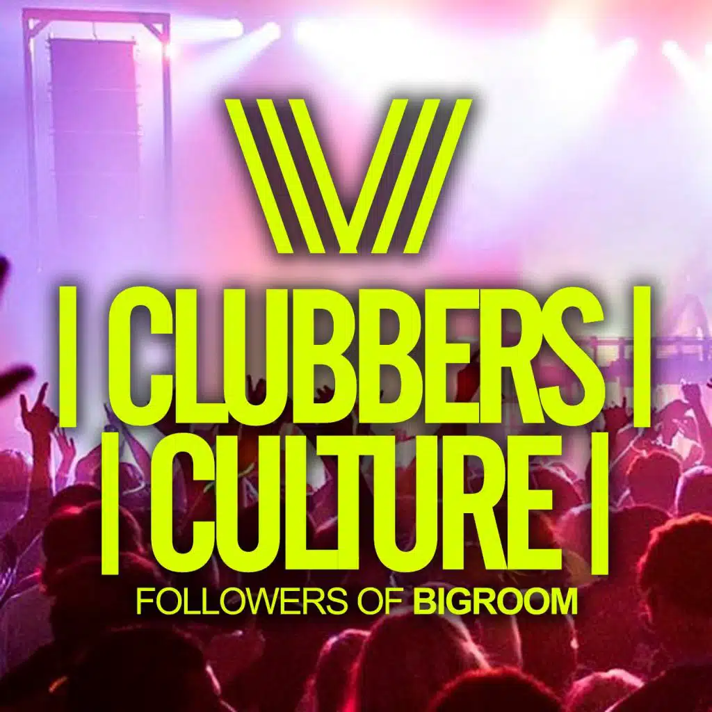 Clubbers Culture: Followers Of Bigroom