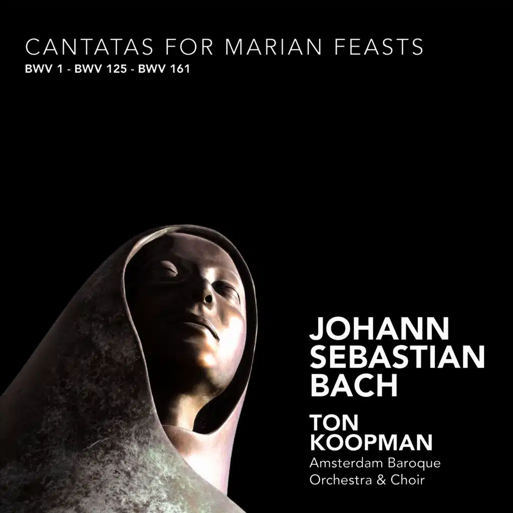 Bach: Cantatas for Marian Feasts