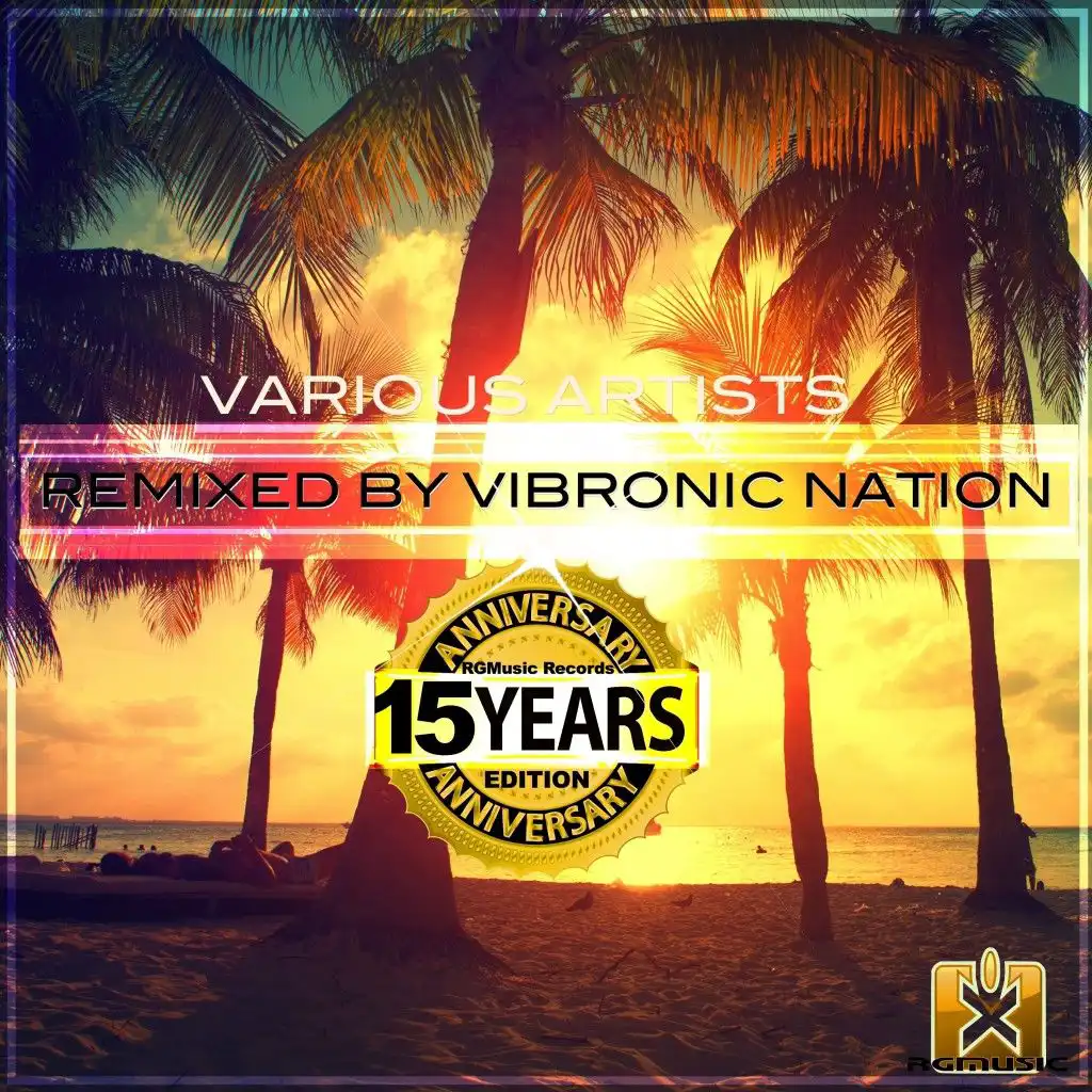 Die besten Partys (Vibronic Nation Remix) [feat. Alex Twist]