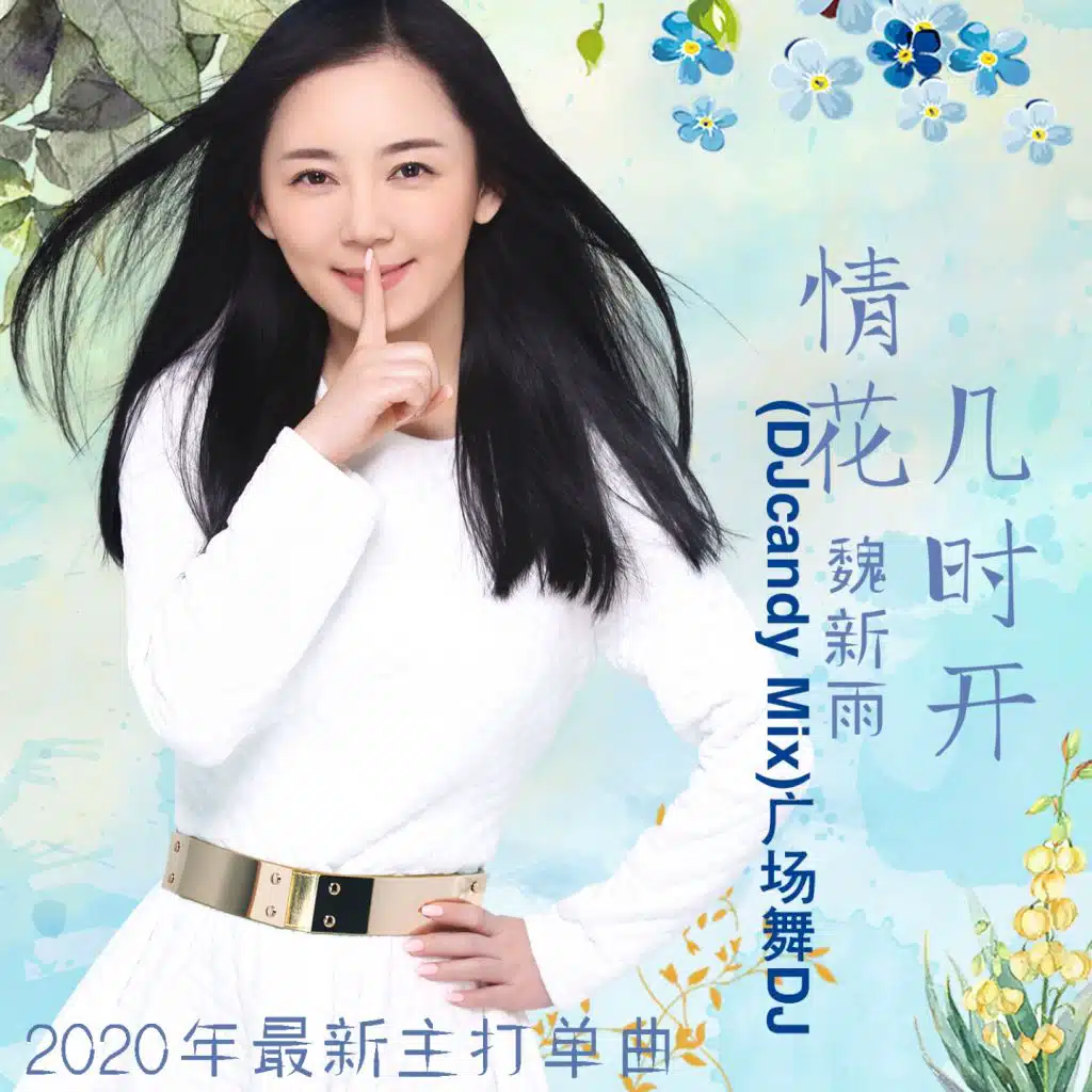 情花几时开(DJcandy Mix)广场舞DJ