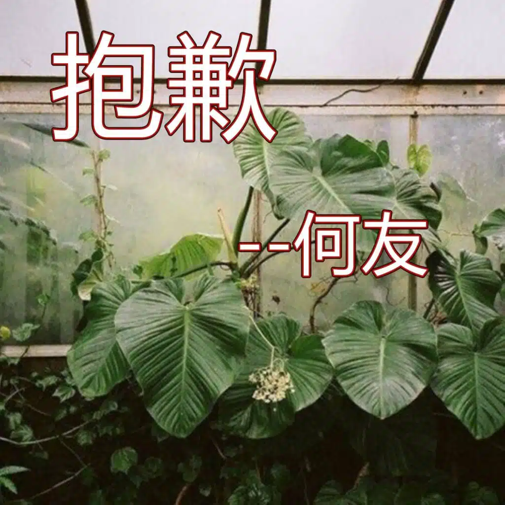 抱歉