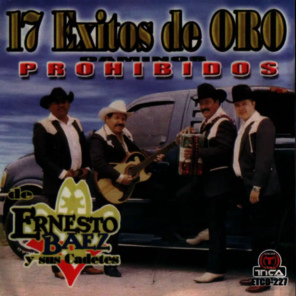 17 Exitos de Oro