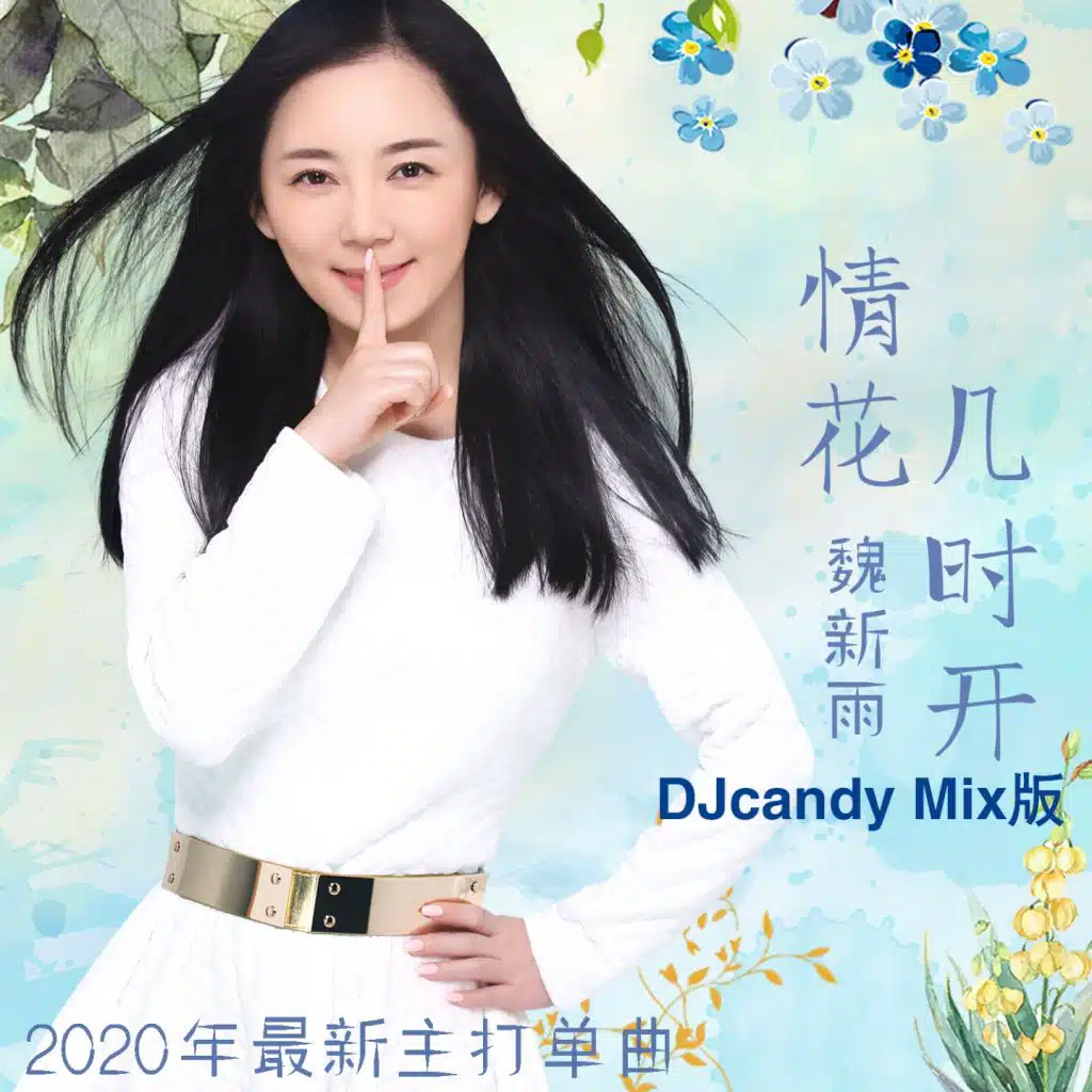 情花几时开（DJcandy Mix版）