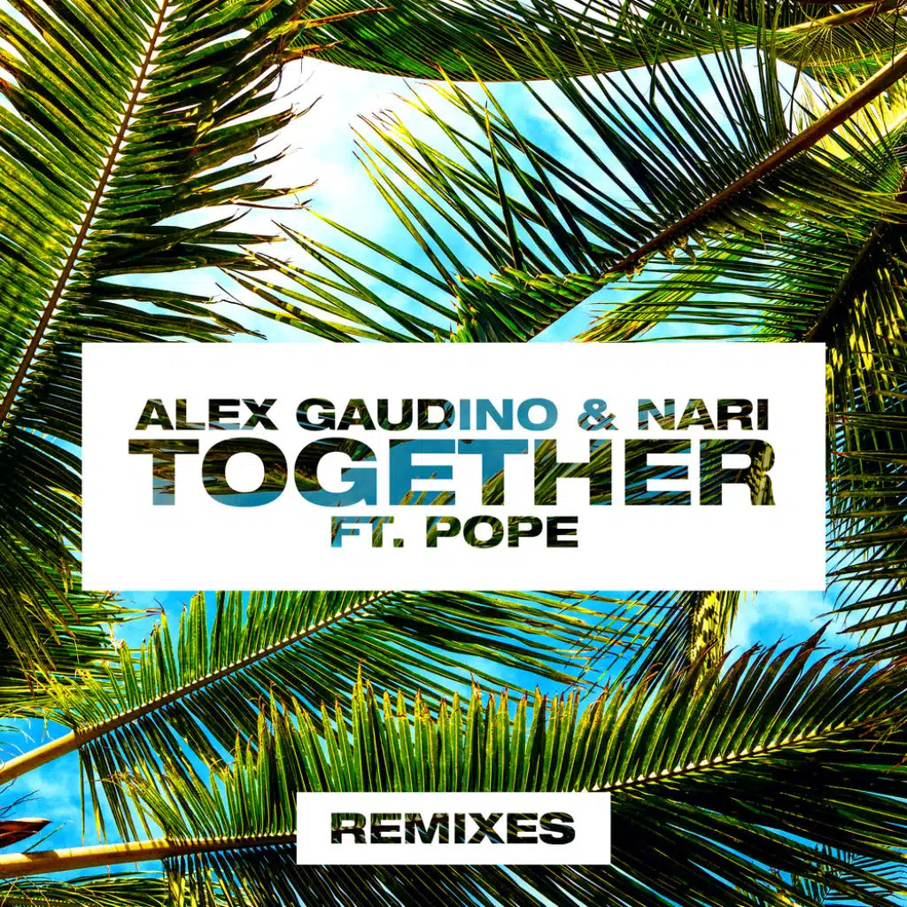 Alex Gaudino & Nari