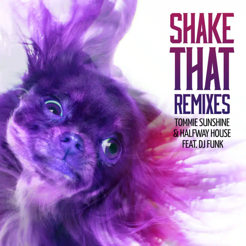 Shake That (feat. DJ Funk)