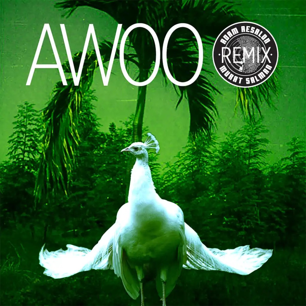 Awoo (feat. Betta Lemme)