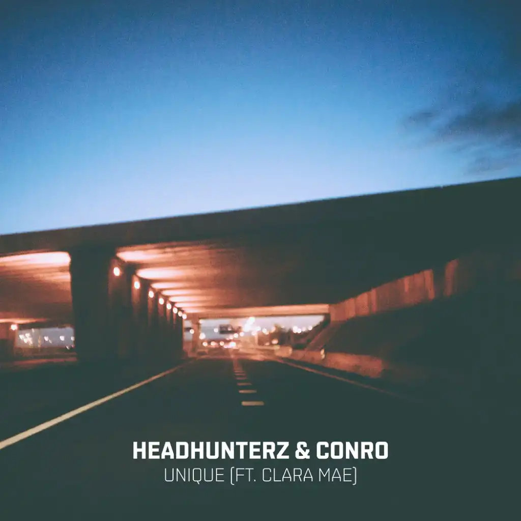 Headhunterz & Conro