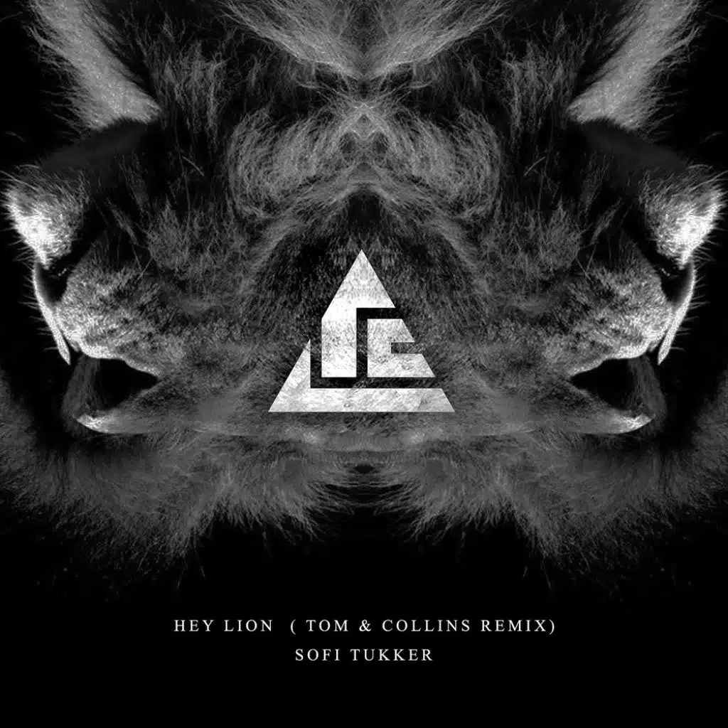 Hey Lion (Tom & Collins Remix)