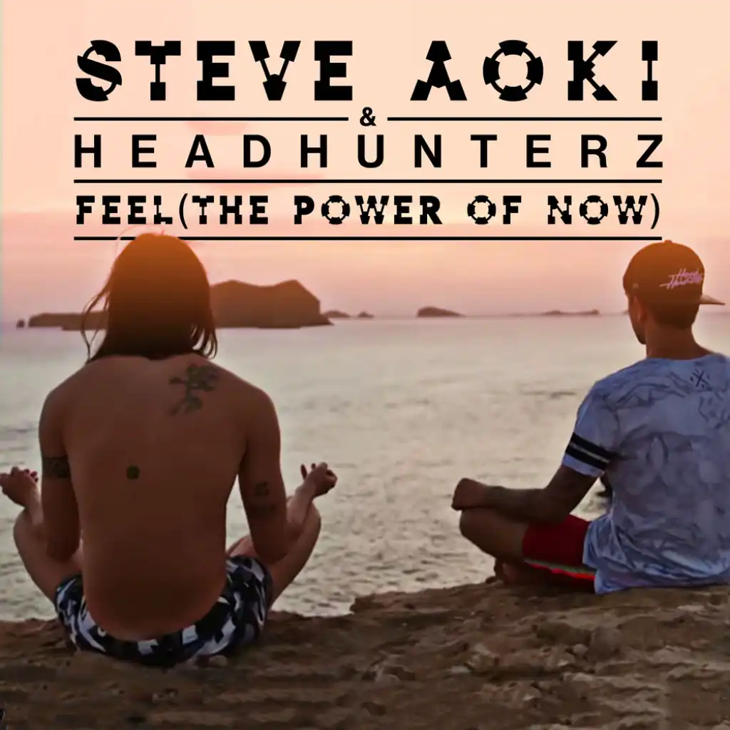 Steve Aoki & Headhunterz