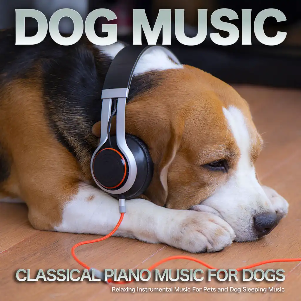 La Fille Aux Cheveux - Debussy - Dog Music - Music For Dogs Ears - Calm Music For Dogs