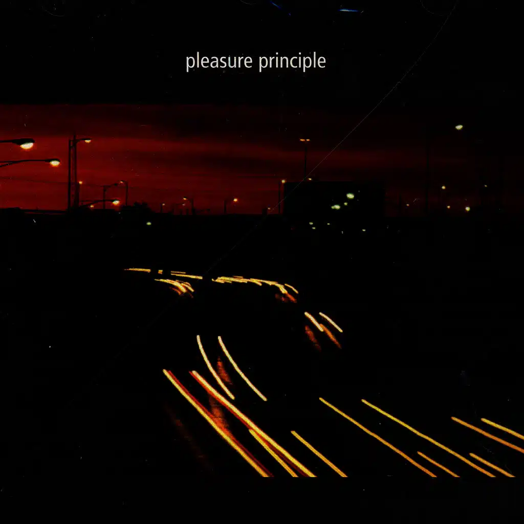 Pleasure Principle