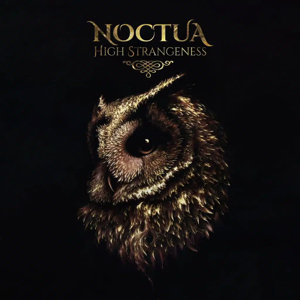 High Strangeness
