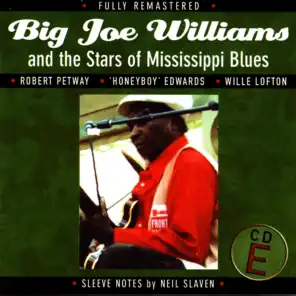 Big Joe Williams and the Stars of Mississippi Blues (E)