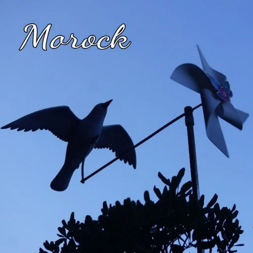 I'll Give You An Old Album (feat. Lim Se Min)