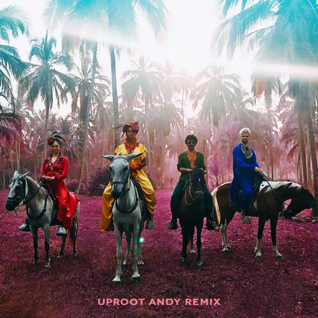 Playa Grande (Uproot Andy Remix)
