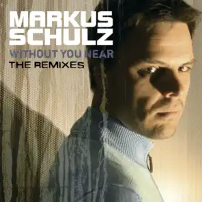 Never Be The Same (Markus Schulz Coldharbour Club Mix)