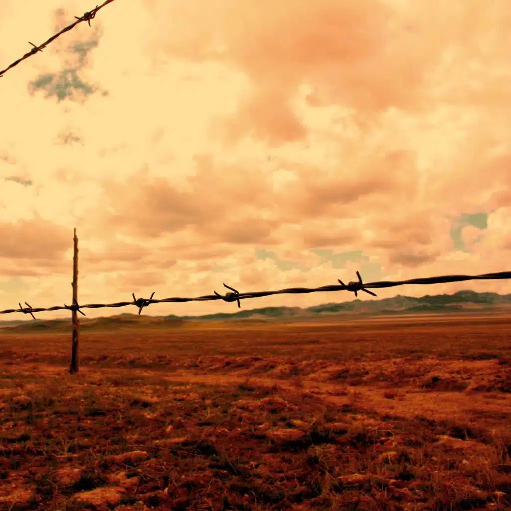 Herded Into Illusion