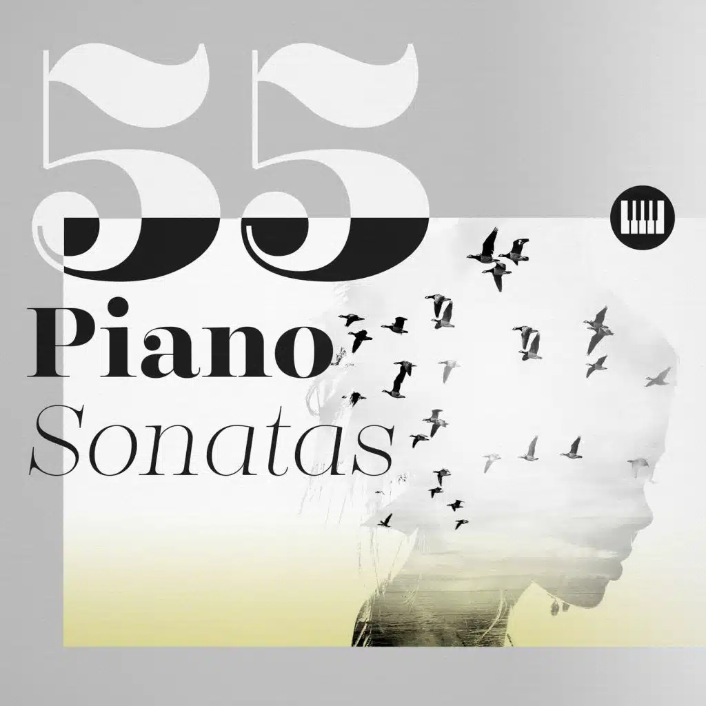 Piano Sonata No. 14 in C-Sharp Minor, Op. 27 No. 2 'Moonlight': I. Adagio sostenuto