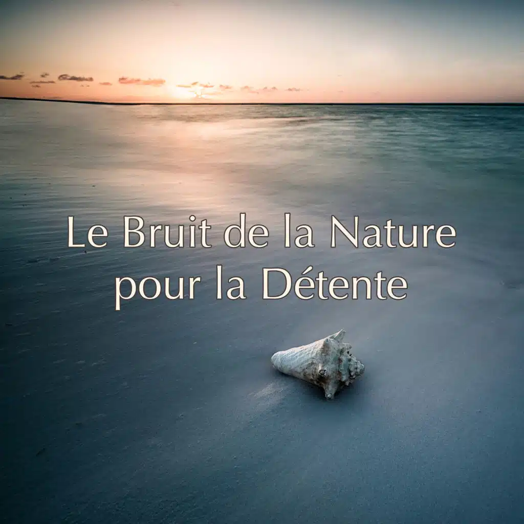 Le bruit de la nature pour la détente: Musique douce et relaxante