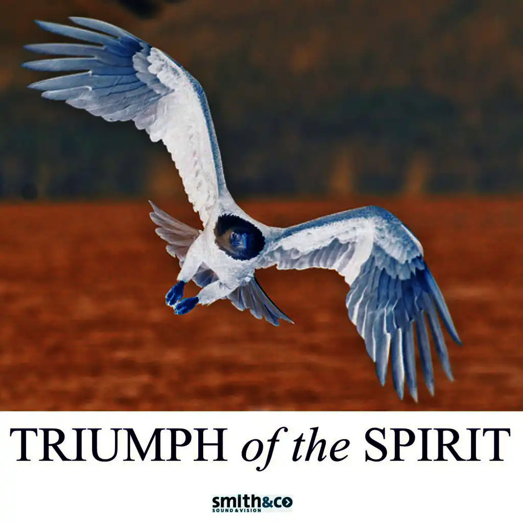 Triumph Of The Human Spirit