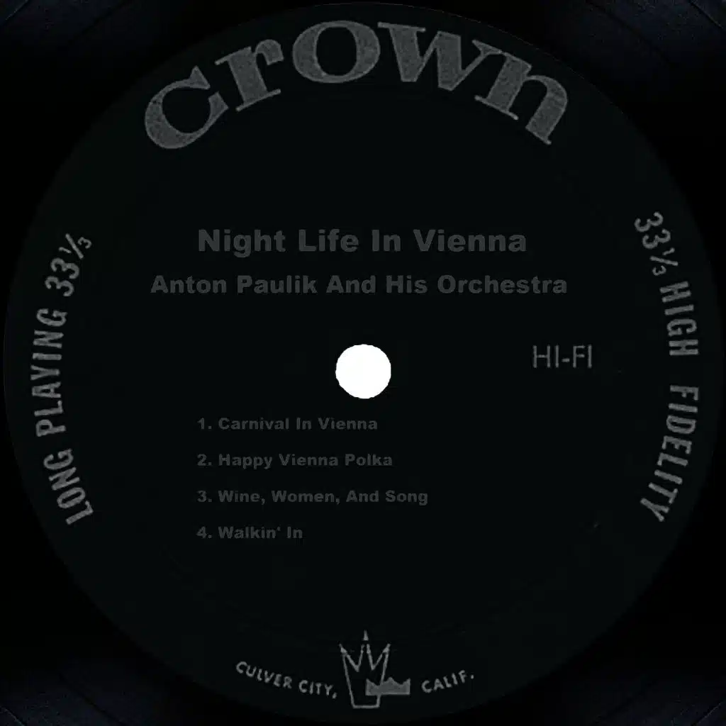 Night Life In Vienna