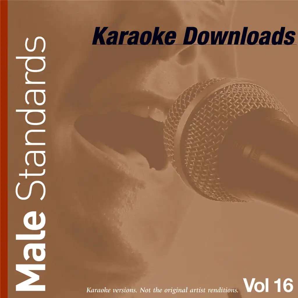 Karaoke Downloads - Male Standards Vol.16