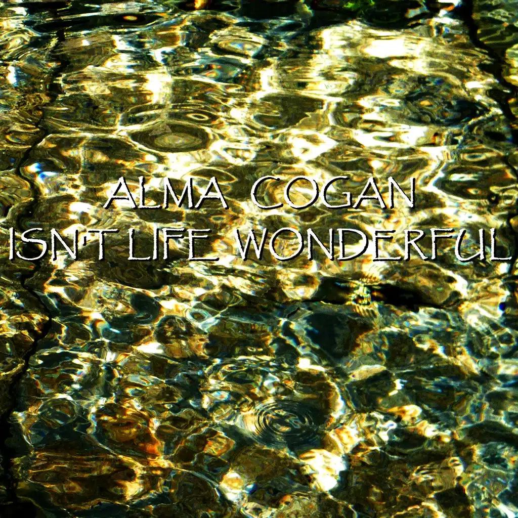 Banjo's Back In Town