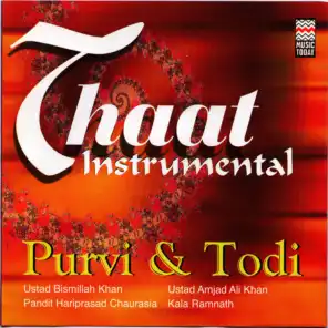 Thaat Instrumental - Purvi & Todi