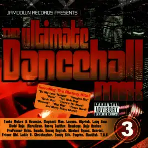 The Ultimate Dancehall Mix Vol. 3