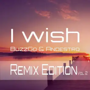 I Wish - Remix Edition, Vol. 2