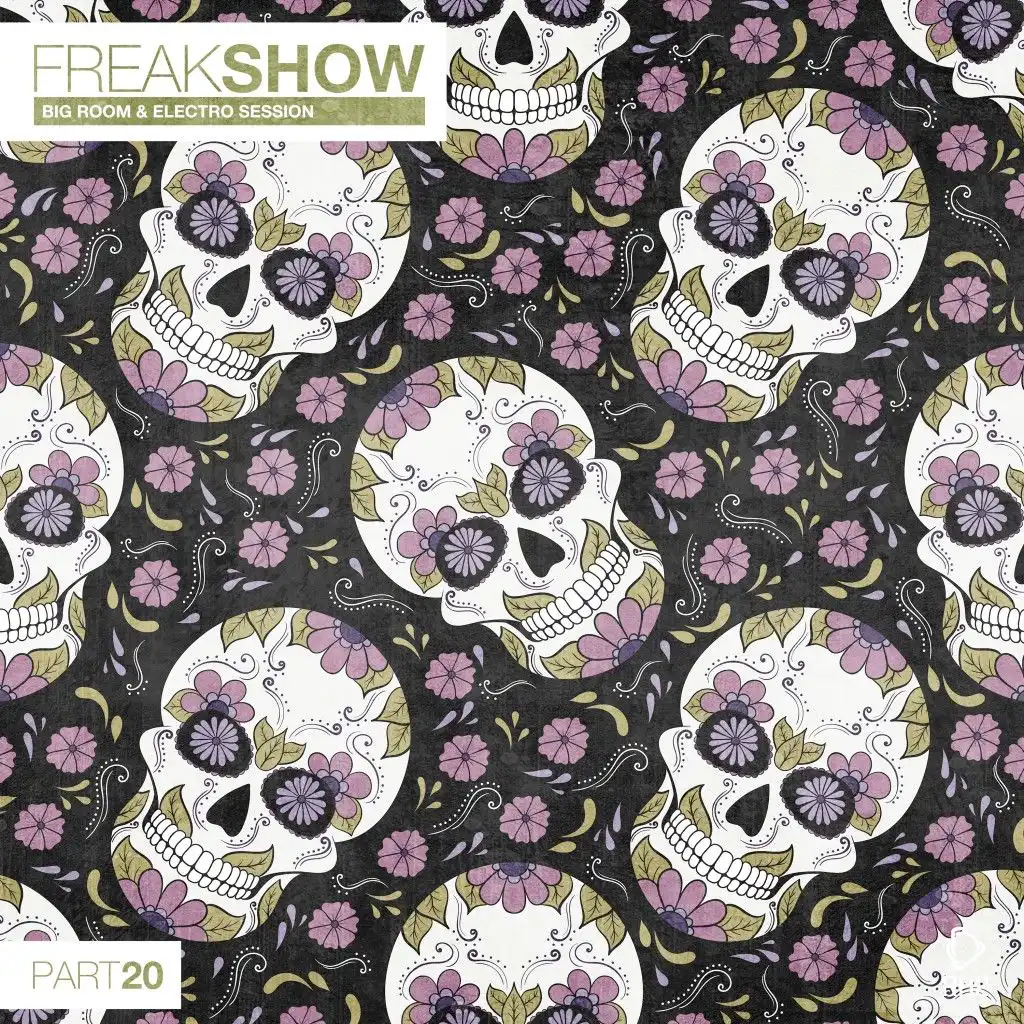 Freak Show, Vol. 20 - Big Room & Electro Session