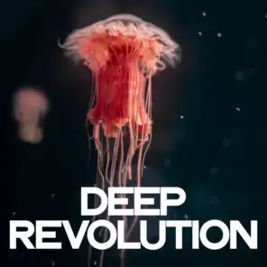 Deep Revolution (House Music For Deejay)
