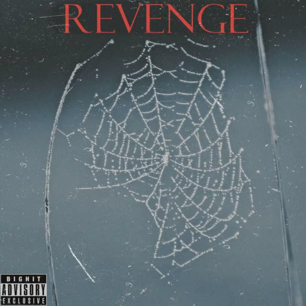 Revenge (feat. Disas)
